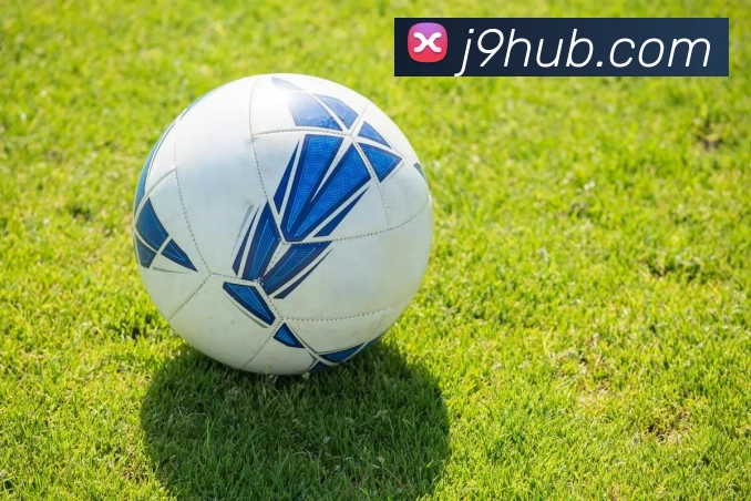 J9国际站官网APP 封面图